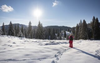 Dove sciare in Piemonte: 7 località montane da non perdere