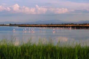 cosa_vedere_riviera_romagnola-foto-lago